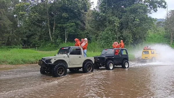 Peserta menikmati panorama hutan pinus dari atas Jeep dengan udara pegunungan yang segar