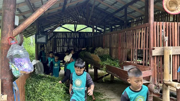 Edukasi peternakan: Siswa berinteraksi langsung dengan hewan ternak di Bernah de Vallei