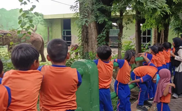 Siswa sekolah dasar mengikuti tur edukasi terpandu di KBS