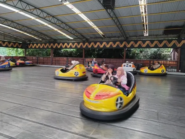 Pertunjukan harimau (Tiger Show) yang menegangkan dan penuh pesan konservasi