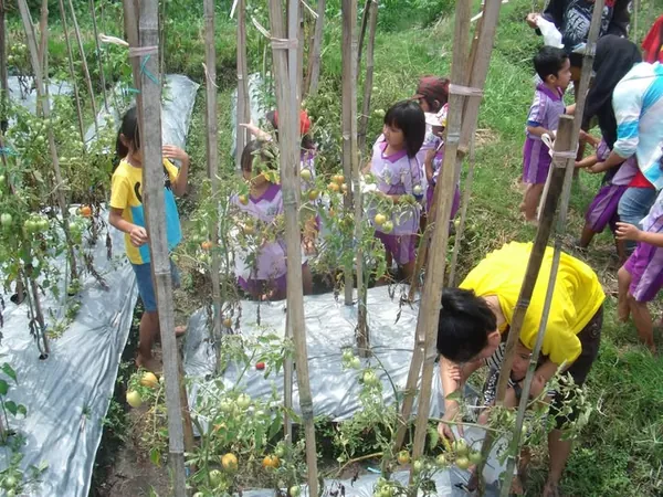 Suasana asri dan fasilitas lengkap di Kampung Kidz untuk rombongan sekolah