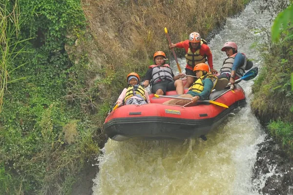 Pemandangan asri persawahan dan tebing selama perjalanan rafting di Kasembon